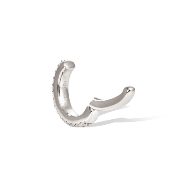 image_097ebe31-ee0d-4272-a41d-c042e8d0f335