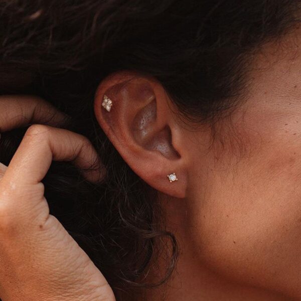 image_40064cdd-eb5d-493a-9d1b-599090467e00