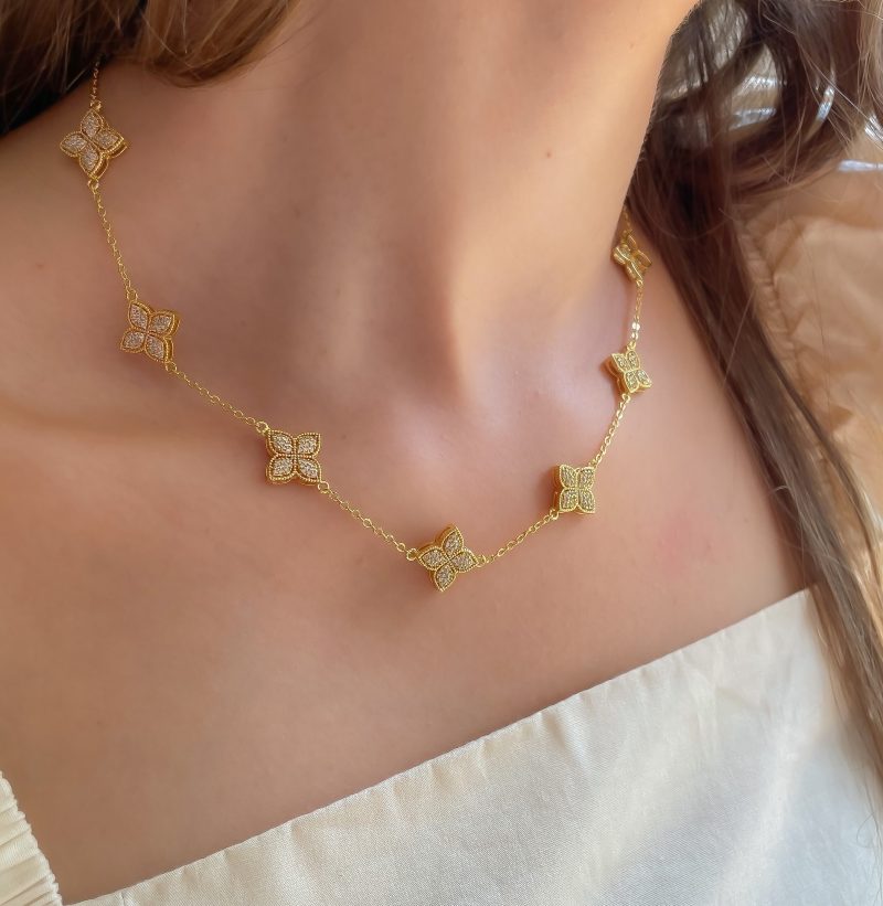 image_48f33602-8b77-4da6-ac27-f2a4c5acfdab