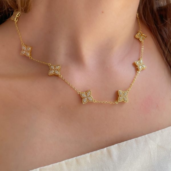 image_5f2de129-75af-4409-b004-52397b08d682