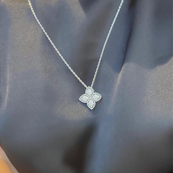 image_67146380-7045-40c7-a647-8db9d592764f