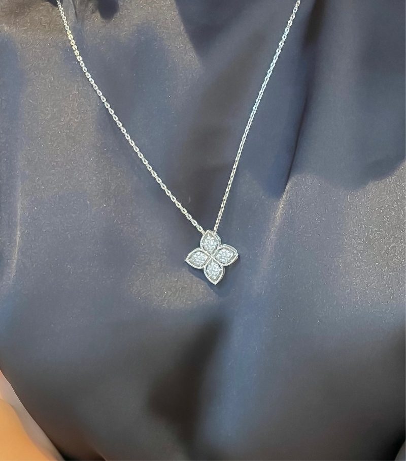 image_67146380-7045-40c7-a647-8db9d592764f