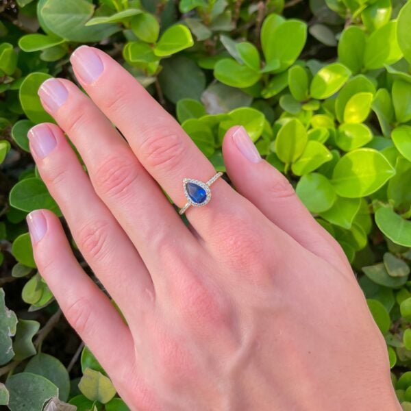 image_0f36fa84-3da7-401d-a6f6-7cc269f93232