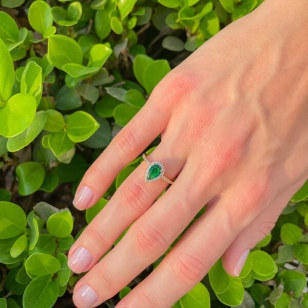 image_2e216c7e-3600-4f63-9442-7d43012c3470