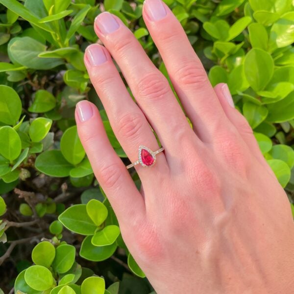 image_2f066604-c110-4eff-8d55-0a8b49d12cf9