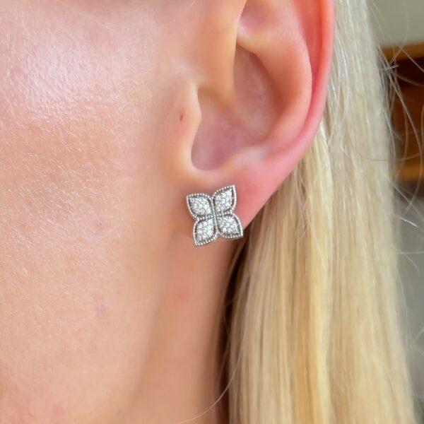 image_d5ab8ef2-10ff-48b6-bfc4-320dbb567c00