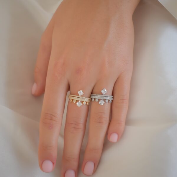 image_e61da55c-c533-416e-9c82-a98865a10ae8