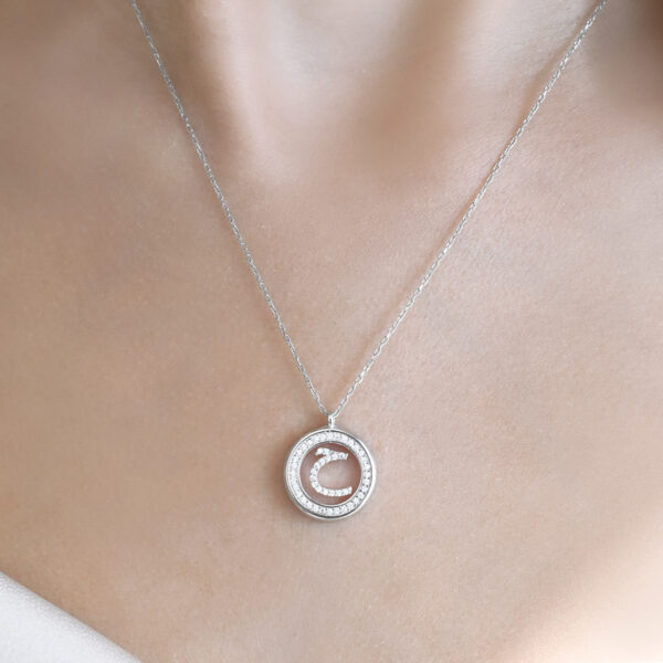 image00051 – Copy (2)