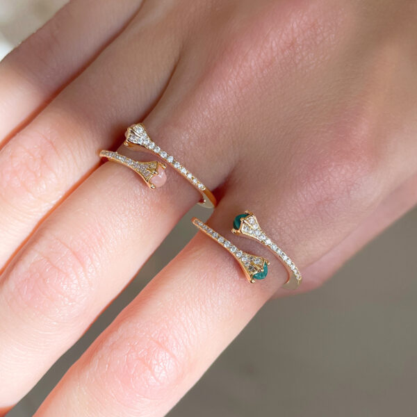 image00411 – Copy (2)